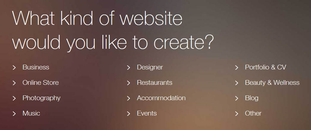 Figure 2:  Website type choice