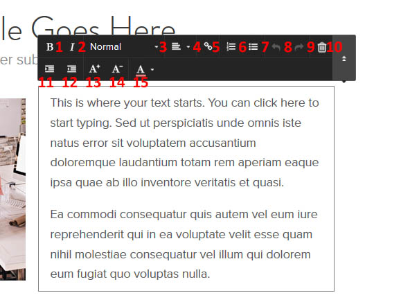 Figure 5:  Text editing menu