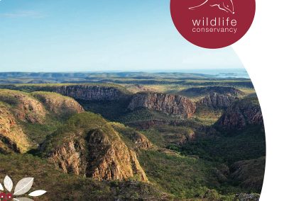 Australian Wildife Conservancy sustainability report design Perth